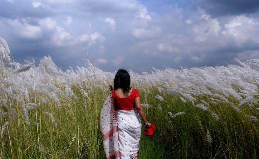 ঢাকার আশেপাশে ৫ কাশবন কোথায় জানেন কী?