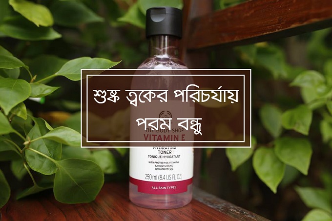 শুষ্ক ত্বকের পরিচর্যায় পারফেক্ট টোনার!