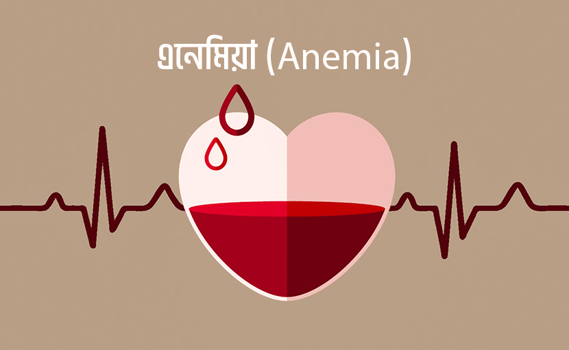 রক্তশূন্যতা বা Anemia-তে ভুগছেন না তো?