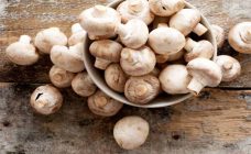 মাশরুম - shajgoj.com