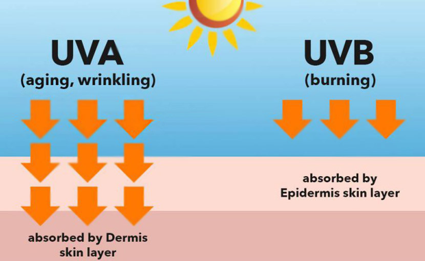 বলিরেখার প্রধান কারণ UVA ray - shajgoj.com