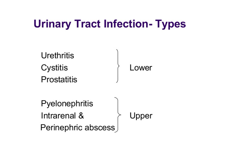 ইউরিন ইনফেকশন এর শ্রেণিবিভাগ - shajgoj.com