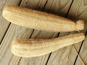 gourd-luffa