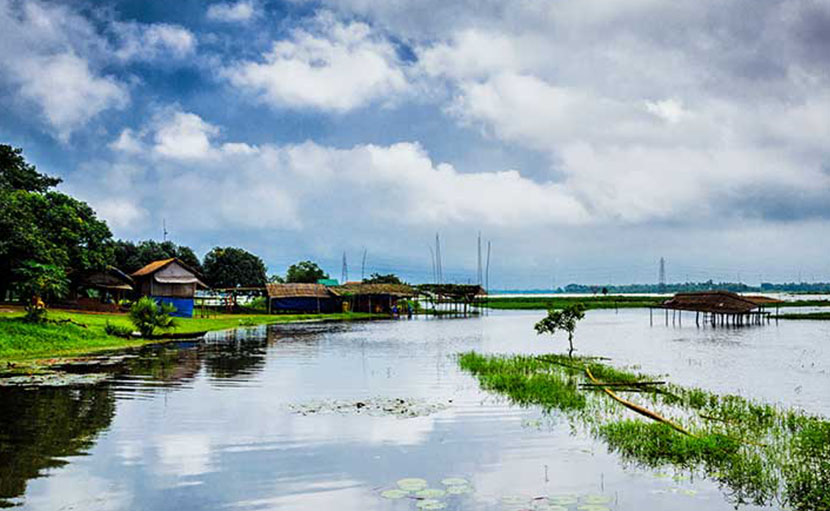 ১ দিনে ঢাকার আশেপাশে ঘুরে আসার জায়গা জল জঙ্গলের কাব্য - shajgoj.com