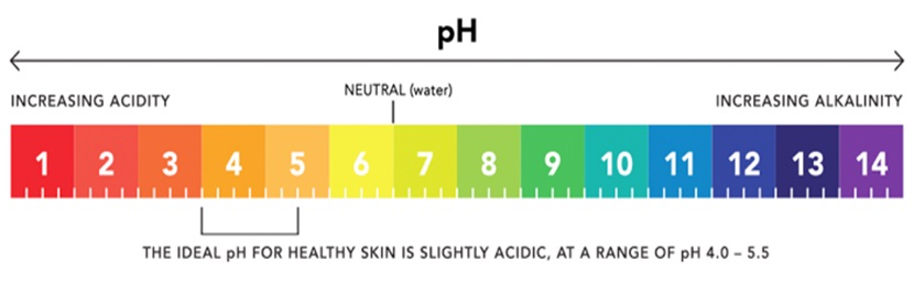 Кислотность кожи. Показатель кислотности PH кожи. Шкала PH кожи. Уровень PH кожи человека. Линейка PH.