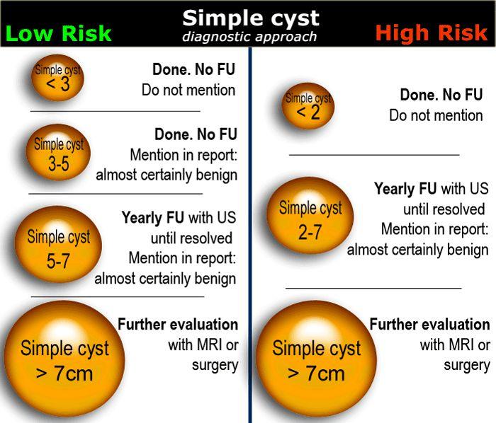 Low risk ও High risk ফাংশনাল ওভারিয়ান সিস্ট - shajgoj.com