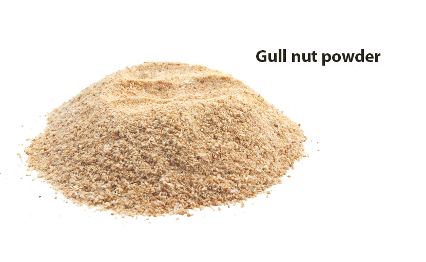 মাজুফল বা Glue nut powder - shajgoj