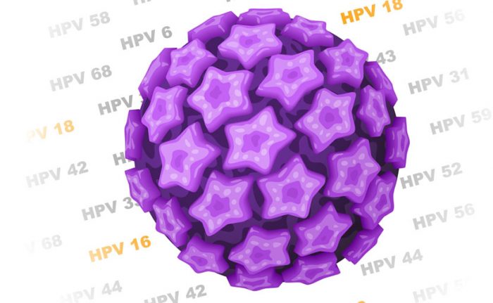 hpv virus voeding