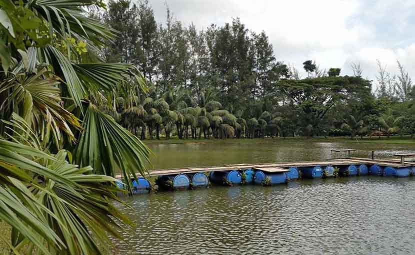 জিন্দা পার্কে পরিবেশবান্ধব সাঁকোর ব্যবস্থা - shajgoj.com