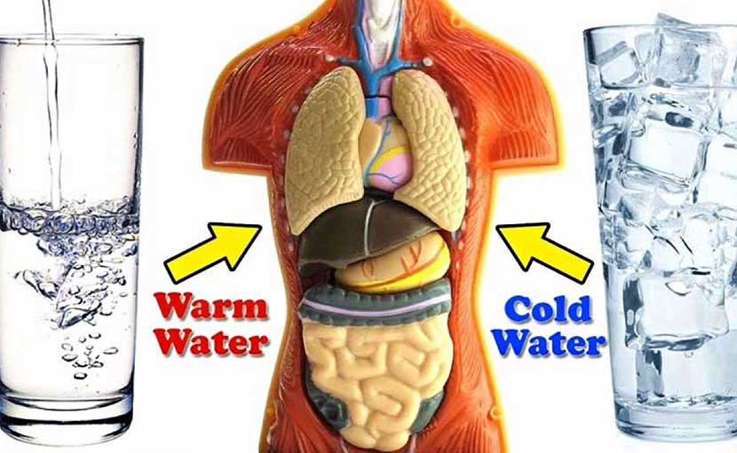 গরম পানি ও ঠাণ্ডা পানি পানে শরীরের অবস্থান - shajgoj.com