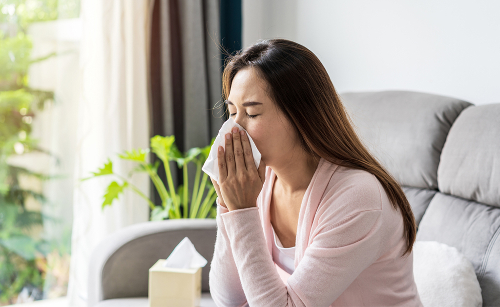 Alergia al polvo 