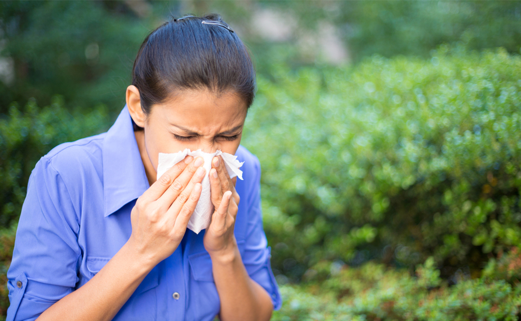 ¿Qué causa la alergia al polvo y cómo curarla?