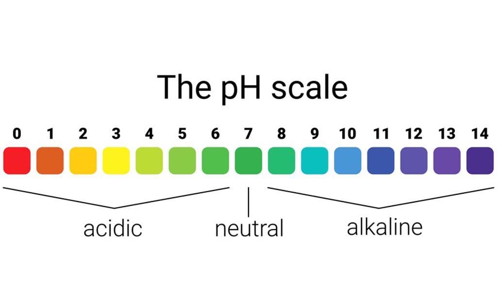 pH স্কেল 