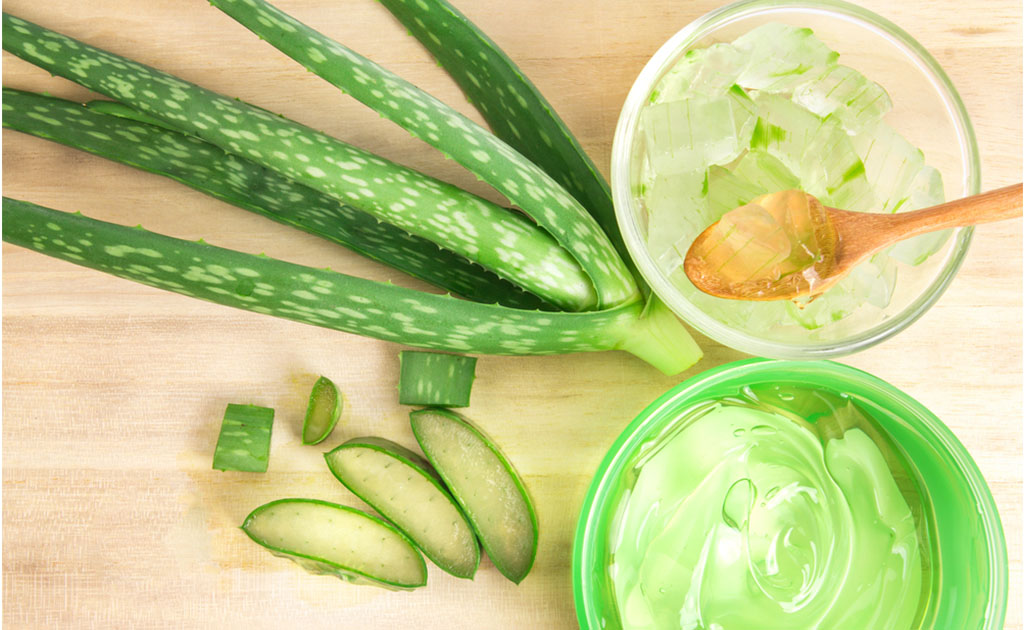 Beneficios del Aloe Vera