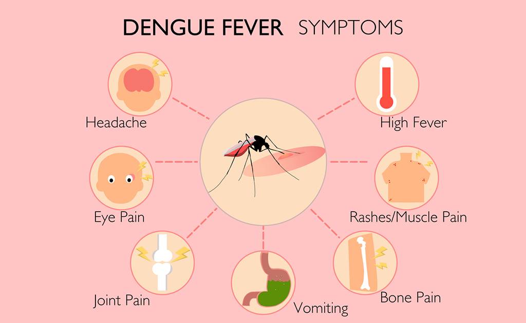 ডেঙ্গুতে আক্রান্ত হয়েছেন কিনা কীভাবে বুঝবেন? 